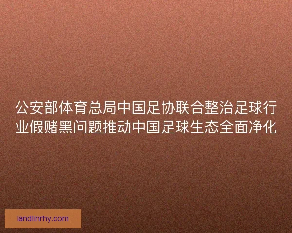公安部体育总局中国足协联合整治足球行业假赌黑问题推动中国足球生态全面净化
