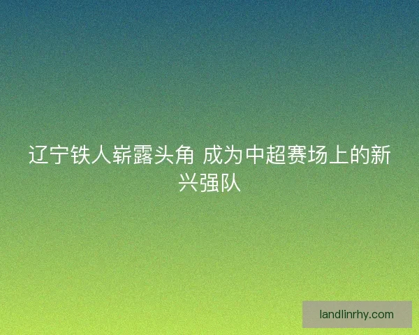辽宁铁人崭露头角 成为中超赛场上的新兴强队